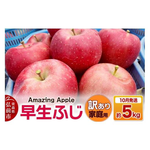 ふるさと納税 りんご 青森県 弘前市 寄附金額見直しました 26年10月発送 りんご 早生ふじ 訳あり 家庭用 約5kg 青森産 りんご 早生ふじ アップル 林檎 リンゴ…