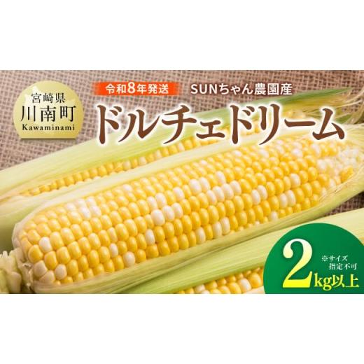 ふるさと納税 とうもろこし 宮崎県 川南町 令和8年発送 SUNちゃん農園産「ドルチェドリーム2kg以上(サイズ指定不可)」 とうもろこし ドルチェドリーム ト…