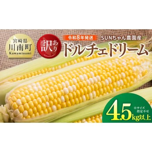 ふるさと納税 とうもろこし 宮崎県 川南町 令和8年発送 SUNちゃん農園産「 訳あり ドルチェドリーム4.5kg以上(サイズ指定不可)」 とうもろこし ドルチェド…