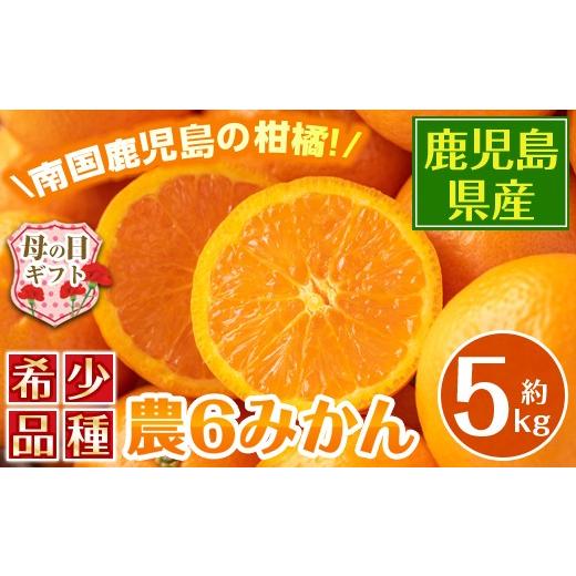 ふるさと納税 果物類 みかん 鹿児島県 出水市 i585-m 母の日ギフト 農6みかん(約5kg) 果物 フルーツ 柑橘 国産 鹿児島県産 みかん 蜜柑 母の日 プレゼント ギ…