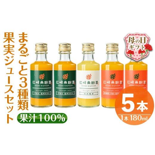 ふるさと納税 果汁飲料 みかん 鹿児島県 出水市 i990-D-m 母の日ギフト まるごと3種類果実ジュースセット(180ml×5本・全3種) 飲料 ジュース みかん 蜜柑 詰…