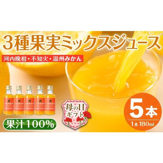 ふるさと納税 果汁飲料 みかん 鹿児島県 出水市 i990-C-m 母の日ギフト 3種果実ミックスジュース(180ml×5本) 飲料 ジュース みかん 蜜柑 果汁 100% 河内晩柑 …
