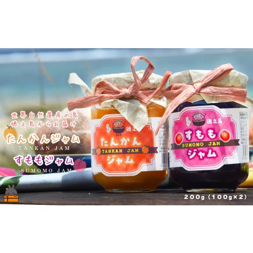 ふるさと納税 ジャム 鹿児島県 徳之島町 2564 徳之島産フルーツ使用 低糖度の徳之島完熟たんかんジャム&すももジャム(100g×2) ( たんかん すもも 完熟 ジ…