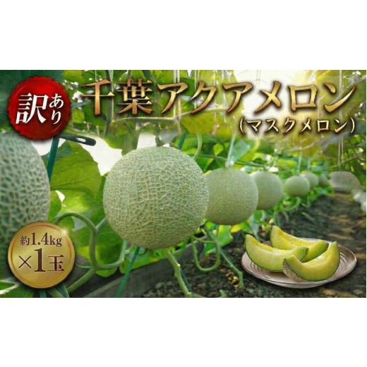ふるさと納税 メロン メロン青肉 千葉県 東金市 訳あり 千葉 アクアメロン 約1.4kg( L玉 ) × 1玉 メロン めろん マスクメロン ますくめろん くだもの フル…