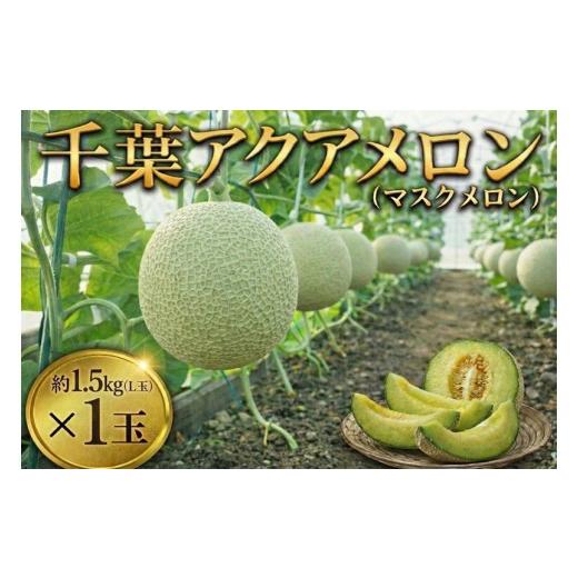 ふるさと納税 メロン メロン青肉 千葉県 東金市 千葉アクアメロン 約1.5kg (L玉)× 1玉 マスクメロン 大玉 メロン めろん 大玉メロン フルーツ くだもの 蜜 …