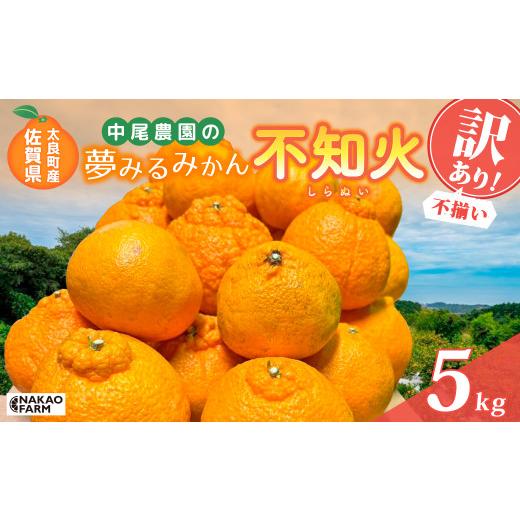ふるさと納税 果物類 みかん 佐賀県 太良町 訳あり 中尾農園の夢みるみかん 不知火 (サイズ不揃い) 5kg 2026年3月下旬〜4月下旬まで順次発送予定 みかん ミ…