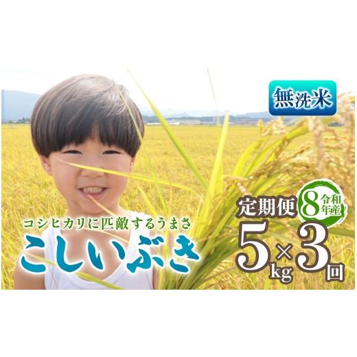 ふるさと納税 無洗米 新潟県 新発田市 令和8年産 無洗米 こしいぶき 定期便 5kg 3回 15kg 新潟 先行予約 新米 3か月 越後の新しい息吹 コシヒカリ の遺伝子を…