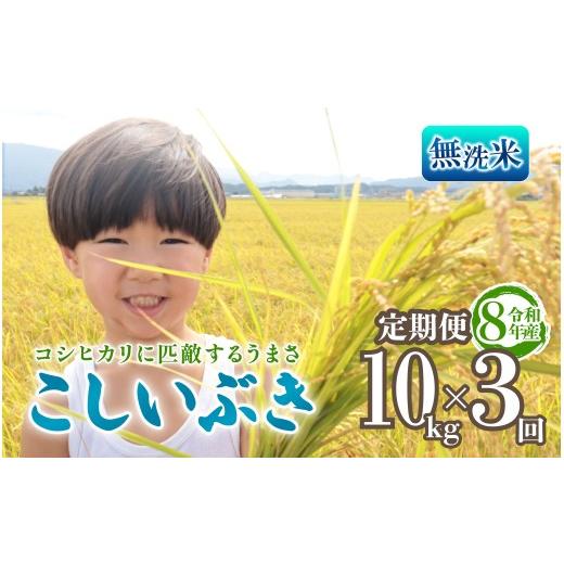 ふるさと納税 無洗米 新潟県 新発田市 令和8年産 無洗米 こしいぶき 定期便 10kg 3回 30kg 新潟 先行予約 新米 3か月 3ヶ月 越後の新しい息吹 コシヒカリ の遺…