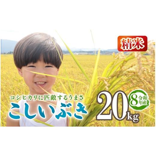 ふるさと納税 米 新潟県 新発田市 令和8年産 こしいぶき 20kg 5kg 4袋 新潟 越後の新しい息吹 先行予約 新米 コシヒカリ の遺伝子を引き継ぐ 米 おこめ お米 …
