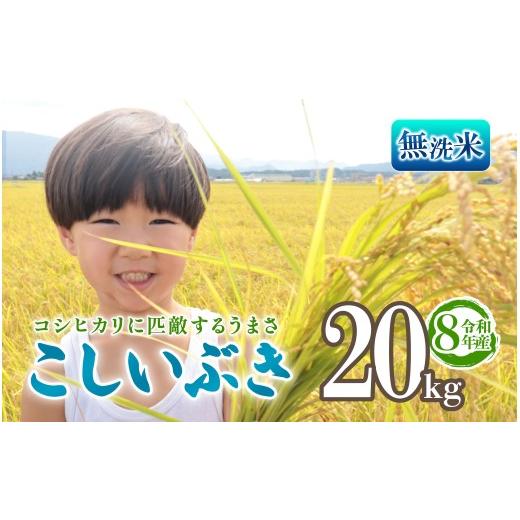 ふるさと納税 無洗米 新潟県 新発田市 令和8年産 無洗米 こしいぶき 20kg 5kg 4袋 新潟 新米 先行予約 越後の新しい息吹 コシヒカリ の遺伝子を引き継ぐ 米 お…