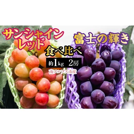 ふるさと納税 ぶどう 山梨県 南アルプス市 2026年発送先行予約 南アルプス市産 サンシャインレッド × 富士の輝き 食べ比べセット 約1.0kg(2房) ALPDD023…