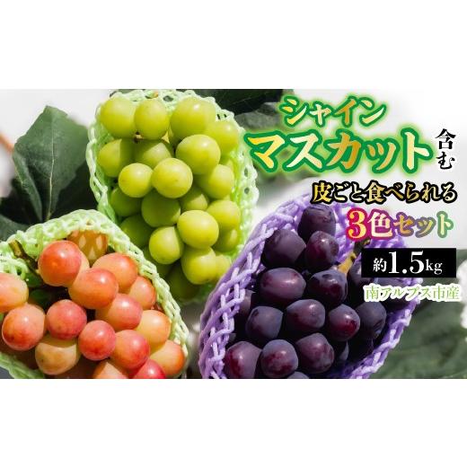 ふるさと納税 ぶどう 山梨県 南アルプス市 2026年発送先行予約 南アルプス市産 シャインマスカット含む 皮ごと食べられる3色ぶどうセット 約1.5kg ALPDD024…