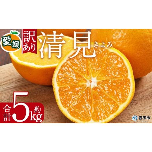 ふるさと納税 果物類 みかん 愛媛県 西予市 訳あり 清見 (サイズ混合) 約5kg 愛媛 蜜柑 ミカン みかん 果物 フルーツ 柑橘 国産 きよみ 訳アリ ご家庭用 愛媛…