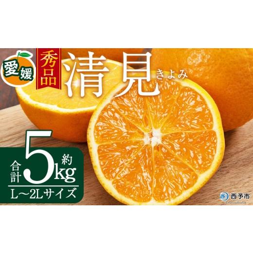 ふるさと納税 果物類 みかん 愛媛県 西予市 秀品 清見 (L〜2Lサイズ) 約5kg 愛媛 蜜柑 ミカン みかん 果物 フルーツ 柑橘 国産 秀品 ギフト 贈答用 きよみ 贈…