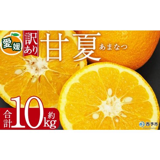 ふるさと納税 果物類 みかん 愛媛県 西予市 訳あり 甘夏 (サイズ混合) 約10kg あまなつ 爽やか 程よい酸味 愛媛 蜜柑 ミカン みかん 果物 フルーツ 柑橘 国産…