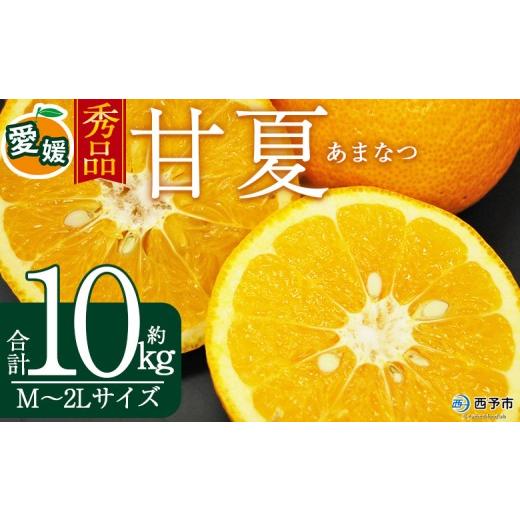 ふるさと納税 果物類 みかん 愛媛県 西予市 秀品 甘夏 (M〜2Lサイズ) 約10kg あまなつ 愛媛 蜜柑 ミカン みかん 果物 フルーツ 柑橘 国産 秀品 ギフト 贈答用…