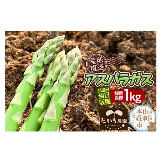 ふるさと納税 野菜類 アスパラガス 秋田県 由利本荘市 [先行受付]アスパラガス 1kg 4月中旬〜5月下旬発送 秋田県 由利本荘市 アスパラガス アスパラ 自社農…
