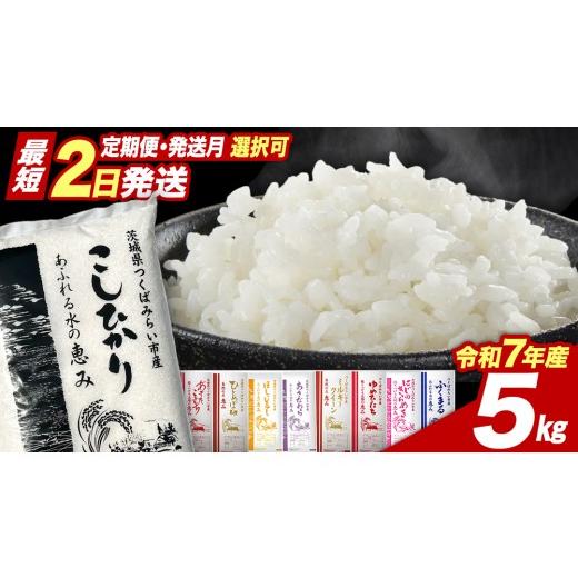 ふるさと納税 米 コシヒカリ 茨城県 つくばみらい市 1か月以内発送 品種おまかせ 5kg 茨城県つくばみらい市産 精米 こしひかり コシヒカリ あきたこまち ひと…