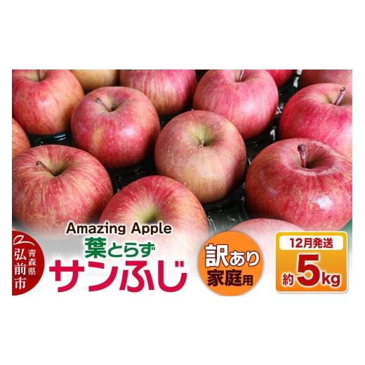 ふるさと納税 りんご 青森県 弘前市 寄附金額見直しました 26年12月発送 りんご 葉とらずサンふじ 訳あり 家庭用 約5kg りんご サンふじ 葉とらず ふじ 訳あ…
