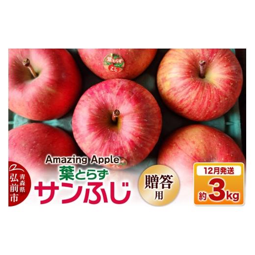 ふるさと納税 りんご 青森県 弘前市 26年12月発送 りんご 葉とらずサンふじ 贈答用 約3kg りんご サンふじ 葉とらず ふじ 3kg お歳暮 お中元 ギフト 贈り物 …