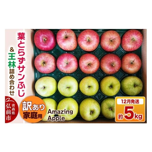 ふるさと納税 りんご 青森県 弘前市 寄附金額見直しました 26年12月発送 りんご 葉とらずサンふじ&王林 詰め合わせ 訳あり 家庭用 約5kg りんご サンふじ 葉…