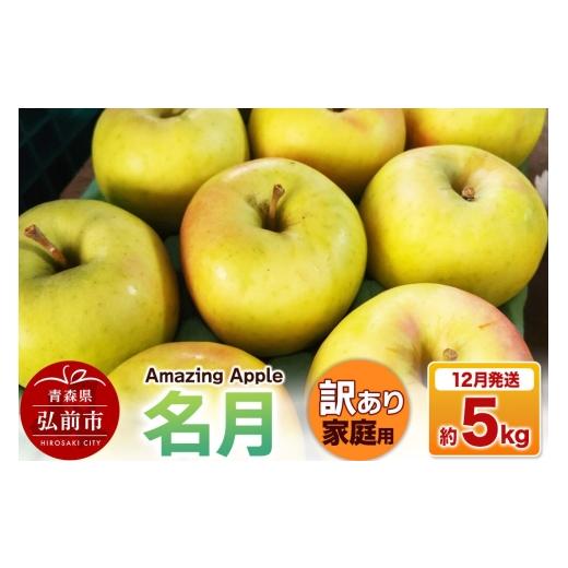 ふるさと納税 りんご 青森県 弘前市 寄附金額見直しました 26年12月発送 りんご 名月 訳あり 家庭用 約5kg りんご 名月 訳あり 家庭用 5kg アップル おいしい…