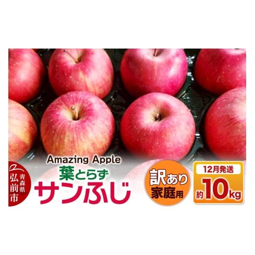 ふるさと納税 りんご 青森県 弘前市 26年12月発送 りんご 葉とらずサンふじ 訳あり 家庭用 約10kg りんご サンふじ 葉とらず ふじ 訳あり 家庭用 10kg アップ…