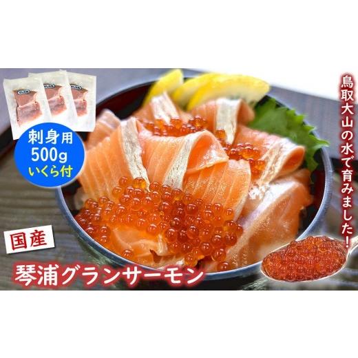 ふるさと納税 魚貝類 サーモン 鳥取県 琴浦町 薬剤未使用で安心 国産とっとり琴浦グランサーモン刺身用500g いくら付 訳あり 小分け個包装で便利