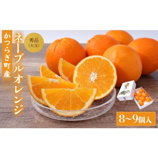 ふるさと納税 みかん・柑橘類 和歌山県 那智勝浦町 先行予約 和歌山県産ネーブル 約4kg 大玉(8個〜9個)秀品 こだわり農家厳選 [KG35]