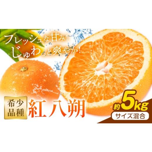 ふるさと納税 果物類 みかん 和歌山県 日高川町 先行予約 みかん はっさく 紅八朔 和歌山県産 希少品種 約5kg サイズ混合 日高川町厳選館[1月中旬-2月末頃出…
