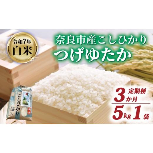 ふるさと納税 米 コシヒカリ 奈良県 奈良市 白米 定期便 コシヒカリ 5kg×3回 令和7年産 計15kg つげゆたか 米 お米 精米 産地直送 農家直送 おむすび こしひ…