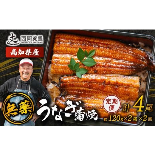 ふるさと納税 うなぎ 高知県 安芸市 完全無投薬 うなぎ蒲焼 定期便 計4尾 ( 120g × 2尾 × 2回 ) 国産 鰻 厳選 無薬 うなぎ 蒲焼き かば焼き 人気 特製タレ …
