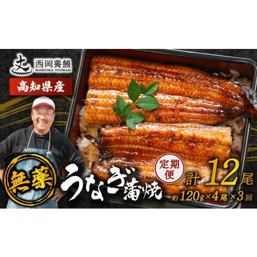 ふるさと納税 うなぎ 高知県 安芸市 完全無投薬 うなぎ蒲焼 定期便 計12尾 ( 120g × 4尾 × 3回 ) 国産 鰻 厳選 無薬 うなぎ 蒲焼き かば焼き 人気 特製タレ …の画像