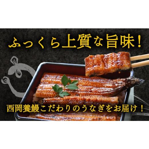 ふるさと納税 うなぎ 高知県 安芸市 完全無投薬 うなぎ蒲焼 定期便 計12尾 ( 120g × 4尾 × 3回 ) 国産 鰻 厳選 無薬 うなぎ 蒲焼き かば焼き 人気 特製タレ …の画像