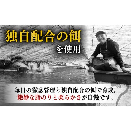 ふるさと納税 うなぎ 高知県 安芸市 完全無投薬 うなぎ蒲焼 定期便 計12尾 ( 120g × 4尾 × 3回 ) 国産 鰻 厳選 無薬 うなぎ 蒲焼き かば焼き 人気 特製タレ …の画像