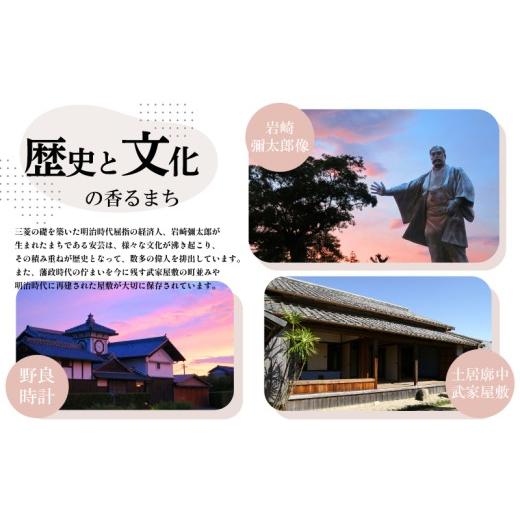 ふるさと納税 うなぎ 高知県 安芸市 完全無投薬 うなぎ蒲焼 定期便 計12尾 ( 120g × 4尾 × 3回 ) 国産 鰻 厳選 無薬 うなぎ 蒲焼き かば焼き 人気 特製タレ …の画像