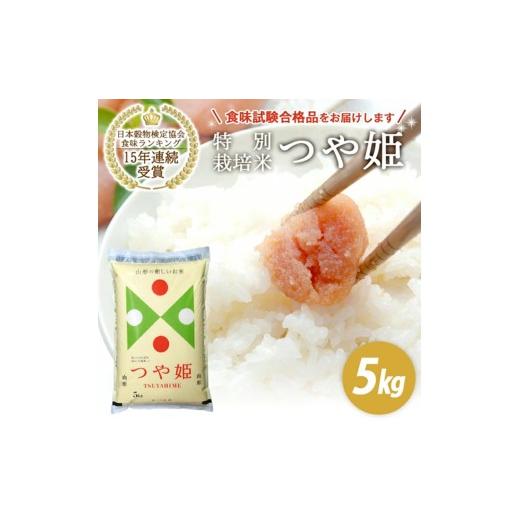 ふるさと納税 米 つや姫 山形県 酒田市 令和7年産 精米 山形県産 特別栽培米 つや姫 5kg(5kg×1袋) JS