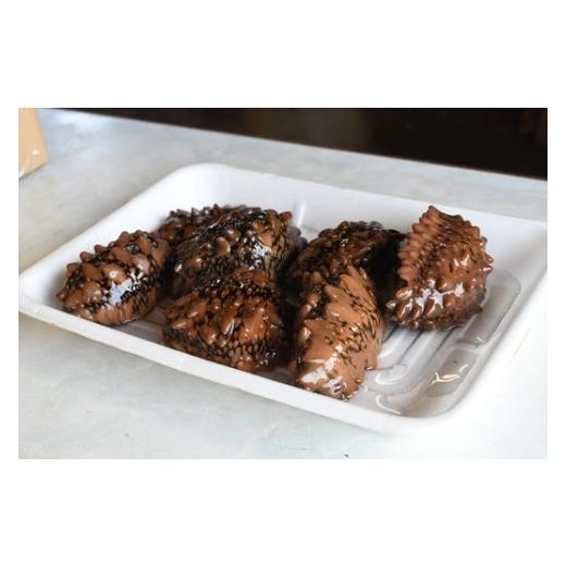 ふるさと納税 旬の鮮魚等 北海道 浦河町 北海道浦河産『活なまこ』1kg 不在日・日付指定対応不可