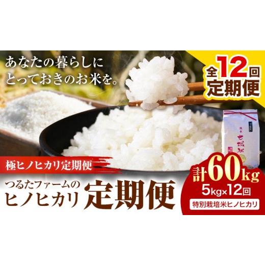 ふるさと納税 米 ヒノヒカリ 熊本県 菊池市 12回定期便 つるたファームのヒノヒカリ定期便 極ヒノヒカリ定期便 特別栽培米 ヒノヒカリ 5kg 株式会社七城の恵…