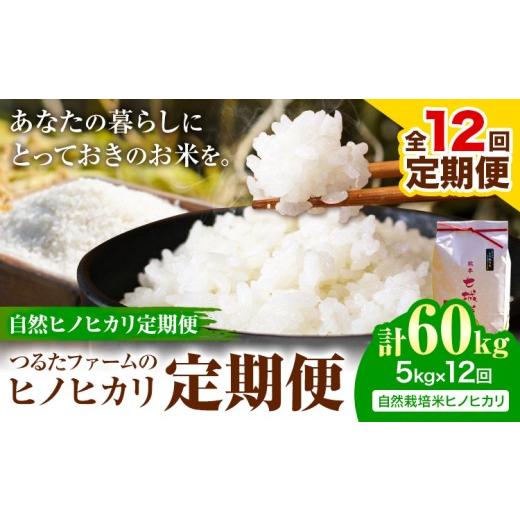 ふるさと納税 米 ヒノヒカリ 熊本県 菊池市 12回定期便 つるたファームのヒノヒカリ定期便 自然ヒノヒカリ定期便 自然栽培米 ヒノヒカリ 5kg 株式会社七城の…