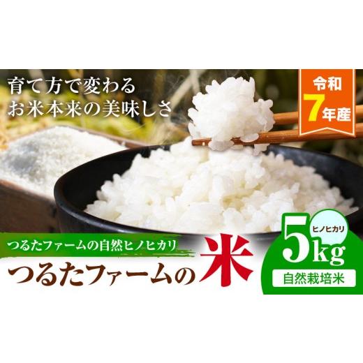 ふるさと納税 米 ヒノヒカリ 熊本県 菊池市 令和7年産 つるたファームの米 自然ヒノヒカリ 自然栽培米 ヒノヒカリ 5kg 株式会社七城の恵み[30日以内に出荷予…