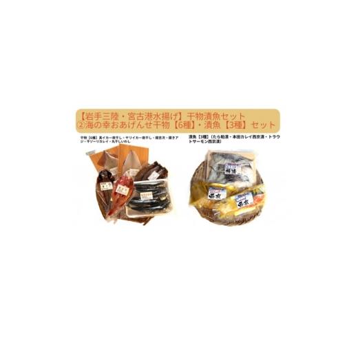 ふるさと納税 魚貝類 岩手県 宮古市 岩手三陸・宮古港水揚げ 干物漬魚セット(2) 海の幸をおあげんせ干物 6種 ・漬魚 3種 1717680