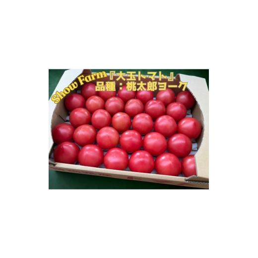 ふるさと納税 野菜類 トマト 静岡県 掛川市 Show Farmの『大玉トマト』(品種:桃太郎トマト)計 約3.5〜4kg 1721445