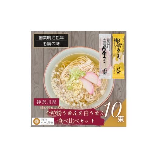 ふるさと納税 うどん 生・半生めん 神奈川県 中井町 神奈川県中井町 老舗かねこ製麺 全粒粉うどんと白うどん食べ比べセット 計10束 1684659