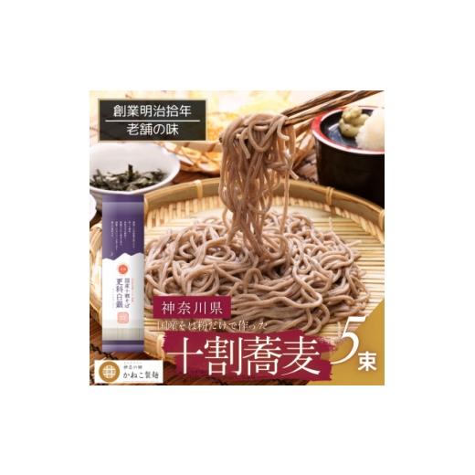ふるさと納税 そば 生・半生めん 神奈川県 中井町 神奈川県中井町 老舗かねこ製麺 十割蕎麦5束セット 1684753