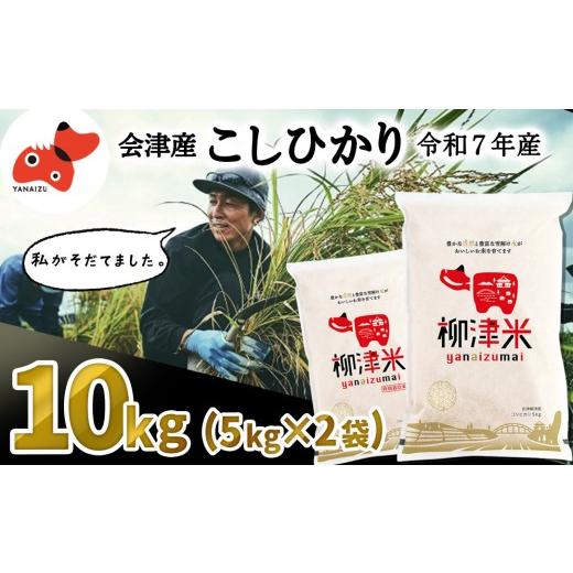 ふるさと納税 米 福島県 柳津町 令和7年産 福島県会津 柳津町産「こしひかり」10kg 5月下旬発送予定 1723570