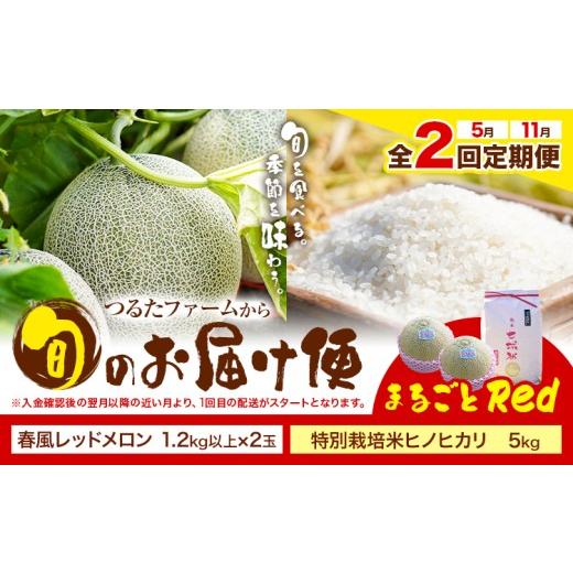 ふるさと納税 米 ヒノヒカリ 熊本県 菊池市 全2回定期便 つるたファームから旬のお届け便 まるごとRed 特別栽培米 ヒノヒカリ 5kg 春風レッド メロン 2玉 株…