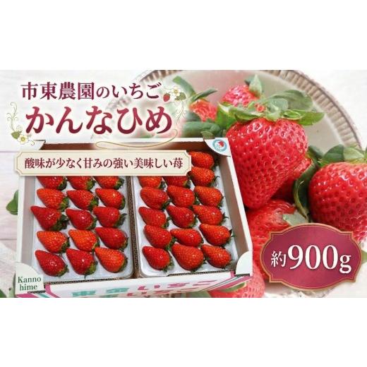ふるさと納税 いちご 千葉県 東金市 4月収穫 苺 かんなひめ 約900g いちご 完熟 イチゴ ichigo itigo フルーツ 新鮮 かんな姫 カンナヒメ ふるーつ くだもの …