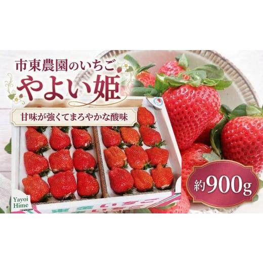 ふるさと納税 いちご 千葉県 東金市 4月収穫 苺 やよい姫 約900g 完熟 いちご やよいひめ ヤヨイヒメ イチゴ ichigo itigo フルーツ 新鮮 ふるーつ くだもの …