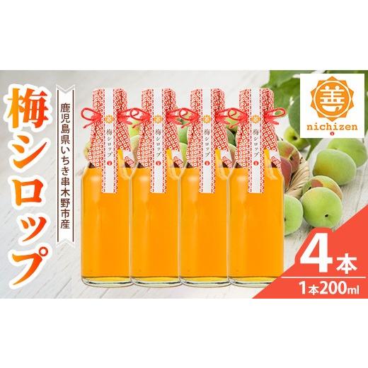 ふるさと納税 缶詰・瓶詰 鹿児島県 いちき串木野市 新登場 数量限定 いちき串木野市産 梅シロップ 800ml(200ml×4本)